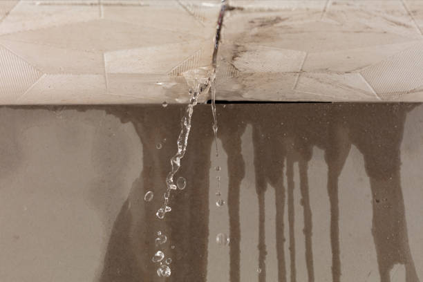 Professional Sewage Cleanup technician working in Grand Junction, IA